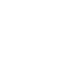 logo Novesta white